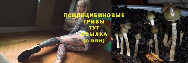 каннабис Алексин