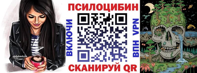 дарнет шоп  Кукмор  Псилоцибиновые грибы Cubensis 